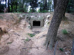 ca9d544f.JPG
