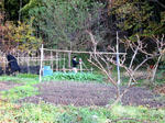 e0883b39.JPG