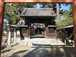 5e585618.JPG