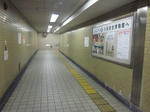 b09cd681.JPG