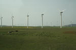 6023fdea.JPG