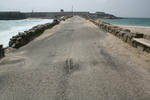 cd538216.JPG
