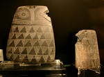 c49838f0.JPG