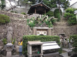840a84c1.JPG