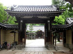 40dce021.JPG