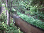 19df7989.JPG