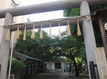 a4296cfe.JPG