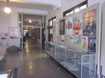 202182c6.jpg