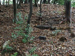IMG_6637.JPG