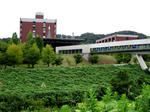 917749e5.JPG