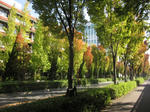 35b937cd.JPG