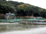 6773321a.JPG