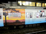 dd4b7114.JPG