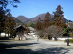 f36583ae.JPG