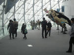 d88417e8.JPG
