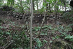 IMG_9167.JPG