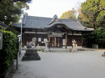 219154f4.JPG