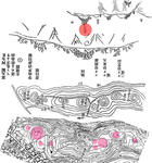 55c1f96e.jpg