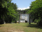8557cfc8.JPG