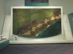 530a629b.JPG