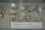 f41a2ae4.JPG