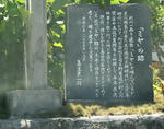 99f852c3.JPG