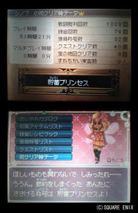 dq002.jpg