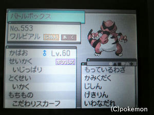 poke1.jpg