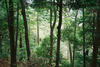 FH020023.JPG