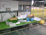 DCF_0004_091018.jpg