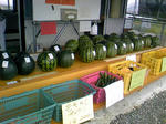 20110724suika.JPG