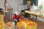 20111202_1.jpg