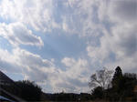 空