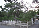 m1.JPG