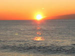 1.1sun-2011.jpg