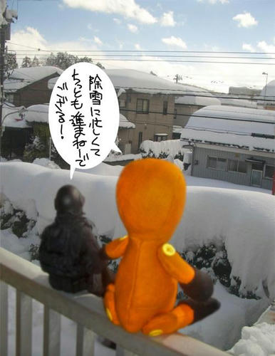 snow.jpg