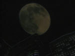 image0049.jpg