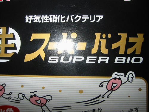 1619b96bjpeg