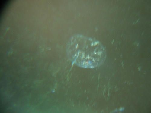 7f74119cjpeg