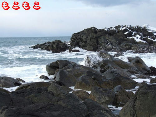 DSCF6906.jpg