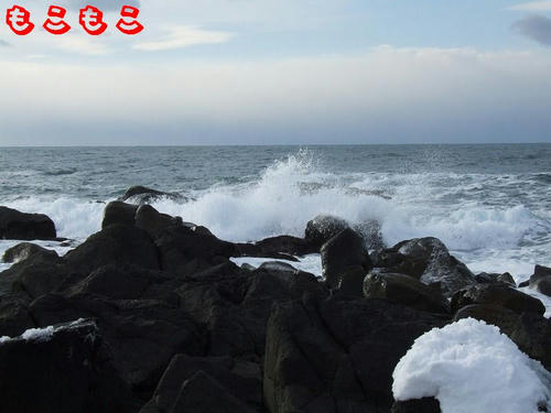 DSCF6908.jpg