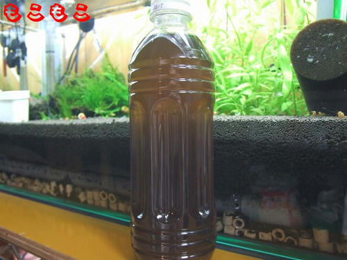 DSCF6929.jpg