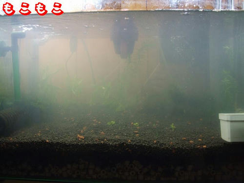 DSCF6930.jpg