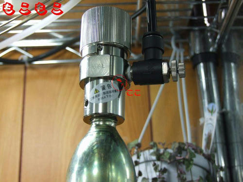 DSCF6950.jpg