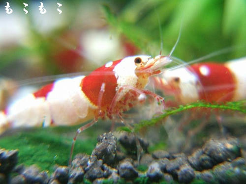 DSCF7593.jpg