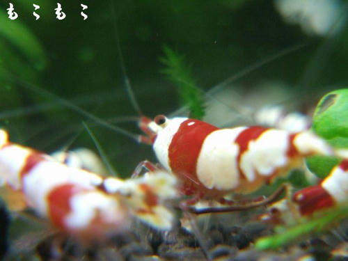 DSCF7560.jpg