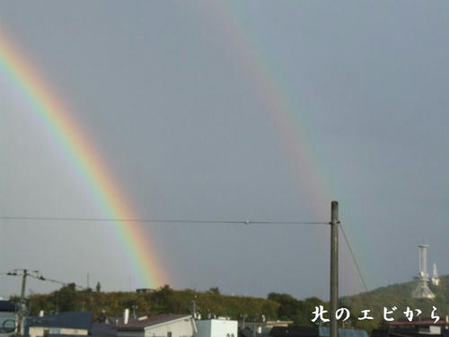DSCF7915.jpg