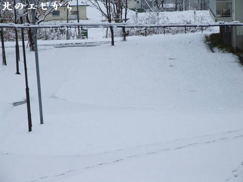 DSCF8048.jpg