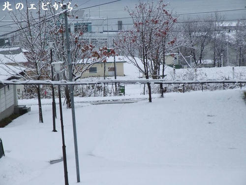 DSCF8049.jpg