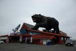 bearbillboard.jpg